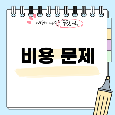 비용 문제