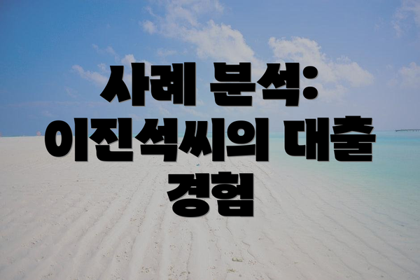 사례 분석: 이진석씨의 대출 경험