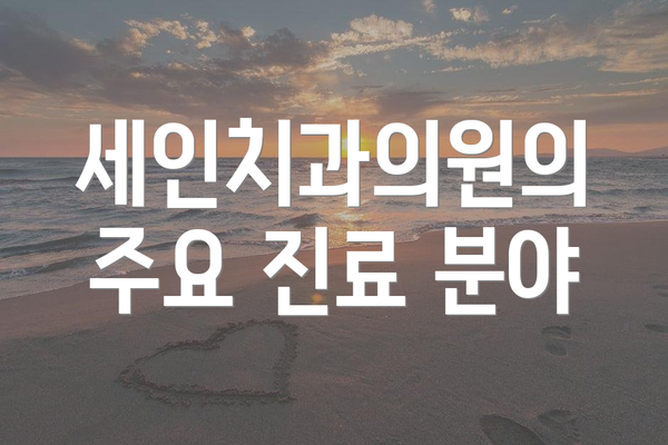 세인치과의원의 주요 진료 분야