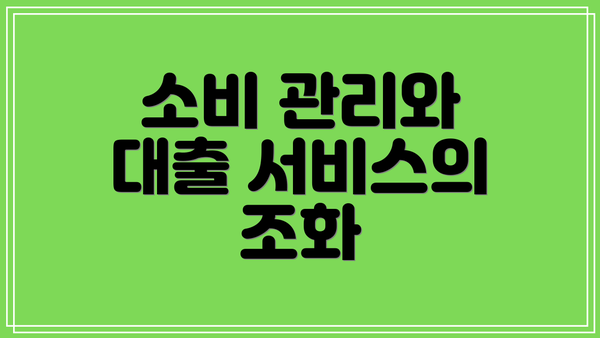 소비 관리와 대출 서비스의 조화