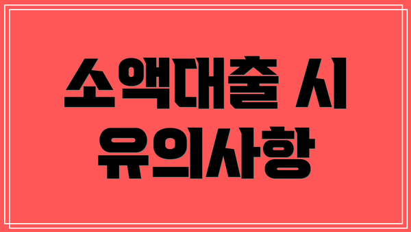 소액대출 시 유의사항