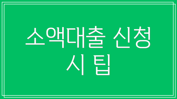 소액대출 신청 시 팁