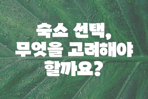 숙소 선택, 무엇을 고려해야 할까요?