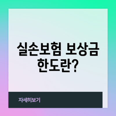 실손보험 보상금 한도란?