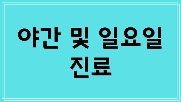 야간 및 일요일 진료