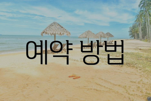 예약 방법