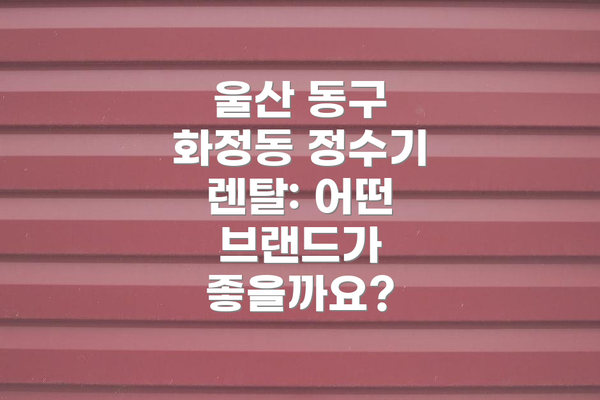 울산 동구 화정동 정수기 렌탈:  1년 비용과 설치 비용은 얼마일까요?