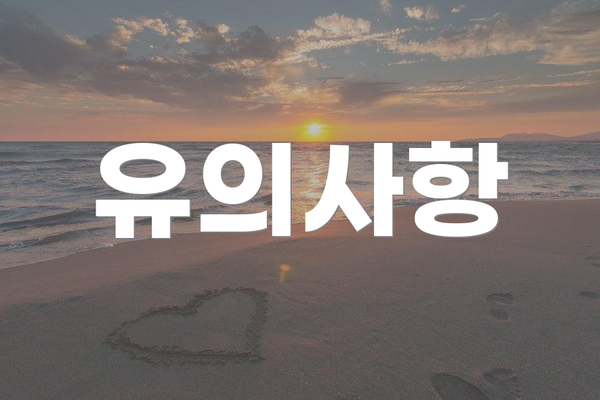 유의사항