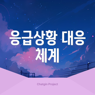 응급상황 대응 체계