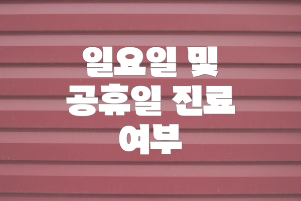 일요일 및 공휴일 진료 여부