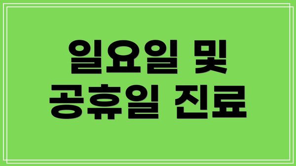 일요일 및 공휴일 진료