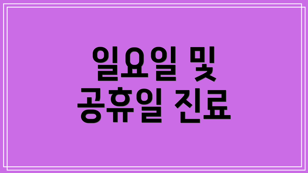 일요일 및 공휴일 진료