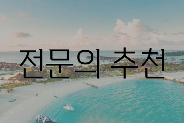 전문의 추천