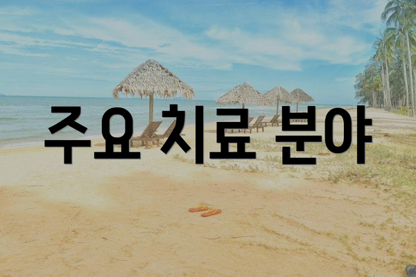 주요 치료 분야
