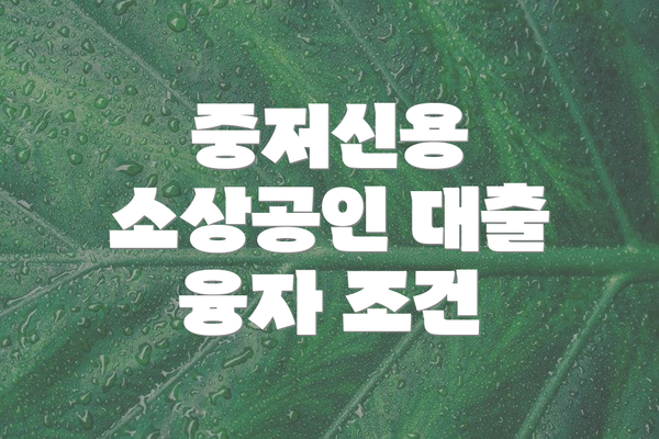 중저신용 소상공인 대출 융자 조건