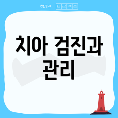 치아 검진과 관리