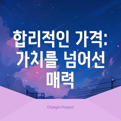 합리적인 가격: 가치를 넘어선 매력