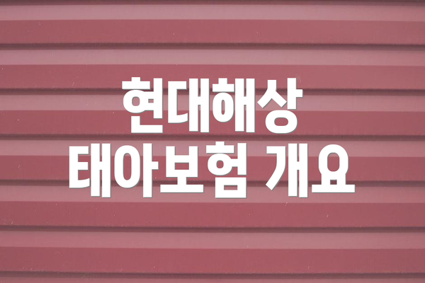 현대해상 태아보험 개요