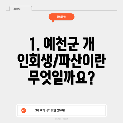 1. 예천군 개인회생/파산이란 무엇일까요?