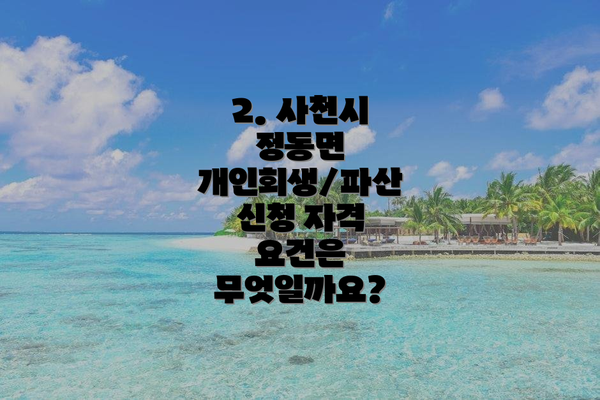 2. 사천시 정동면 개인회생/파산 신청 자격 요건은 무엇일까요?
