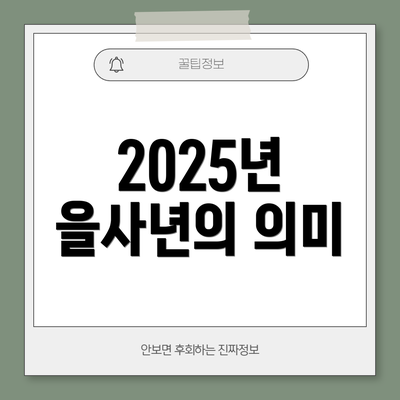 2025년 을사년의 의미