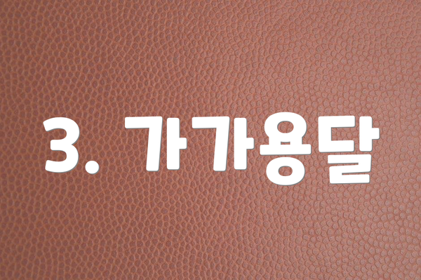 3. 가가용달