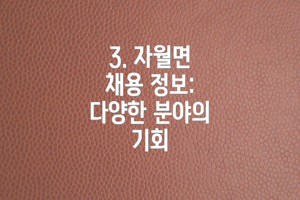 3. 자월면 채용 정보: 다양한 분야의 기회