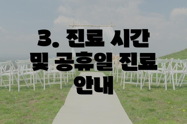 3. 진료 시간 및 공휴일 진료 안내