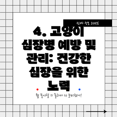 4. 고양이 심장병 예방 및 관리: 건강한 심장을 위한 노력