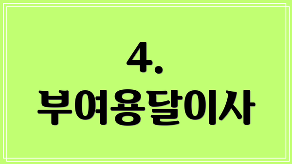 4. 부여용달이사