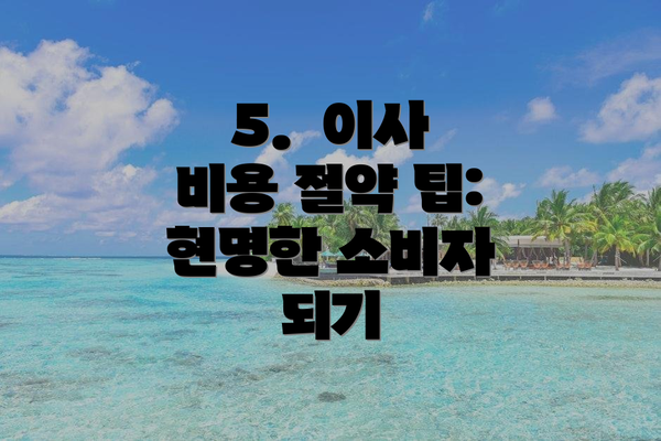 5.  이사 비용 절약 팁: 현명한 소비자 되기
