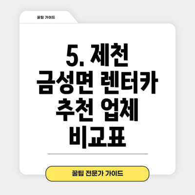 5. 제천 금성면 렌터카 추천 업체 비교표
