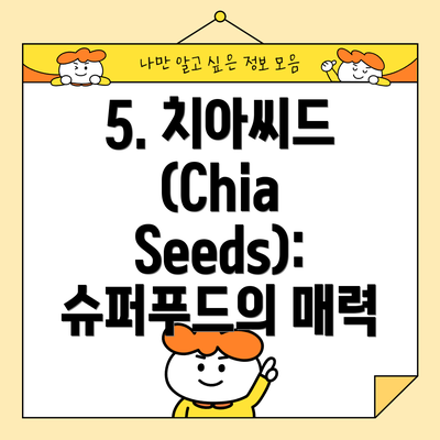 5. 치아씨드 (Chia Seeds): 슈퍼푸드의 매력