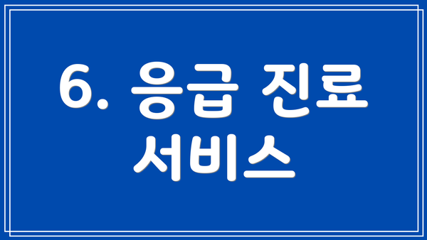 6. 응급 진료 서비스