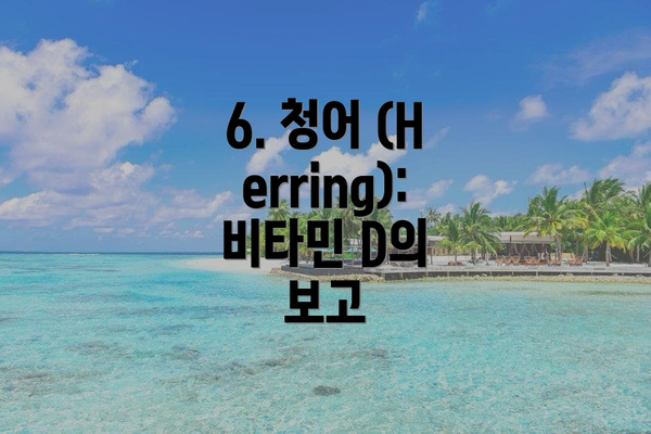 6. 청어 (Herring): 비타민 D의 보고