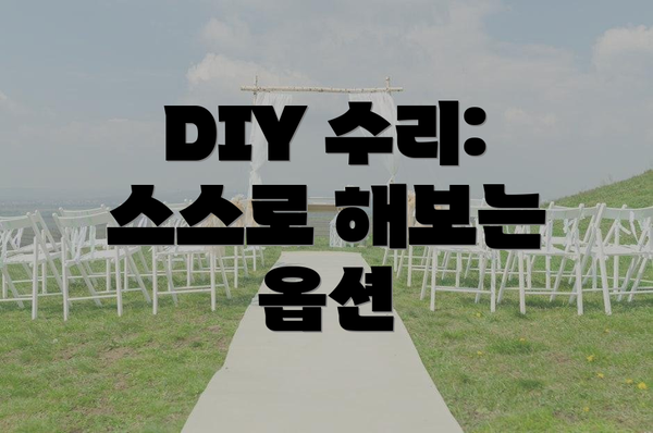 DIY 수리: 스스로 해보는 옵션