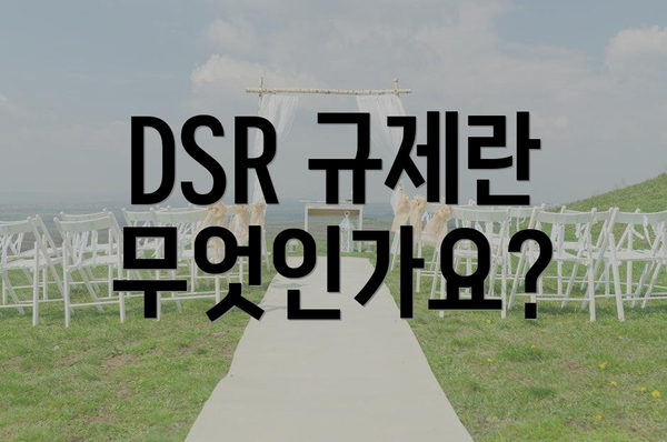 DSR 규제란 무엇인가요?