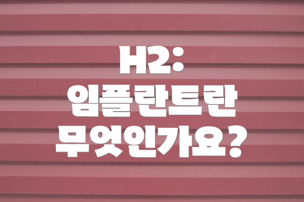H2: 임플란트란 무엇인가요?